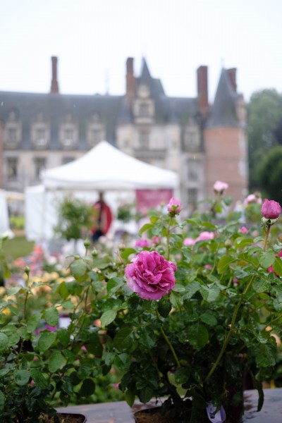 rosechateau